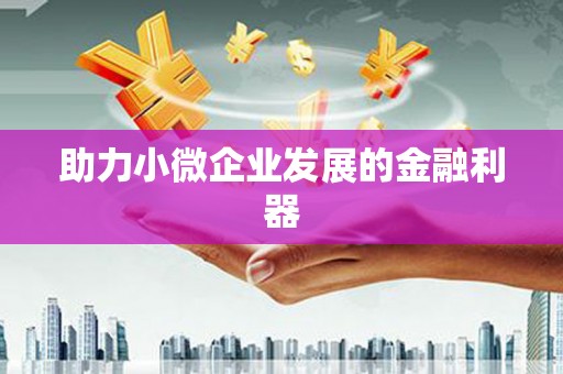望谟助力小微企业发展的金融利器