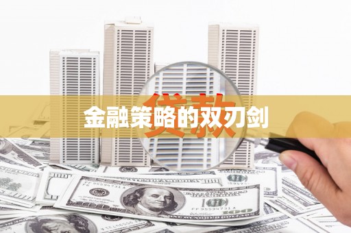 望谟金融策略的双刃剑