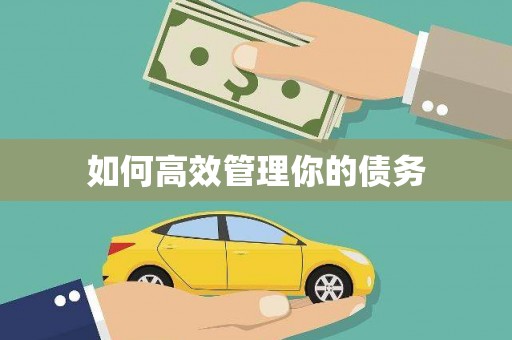 望谟如何高效管理你的债务