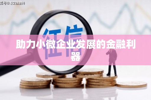 望谟助力小微企业发展的金融利器