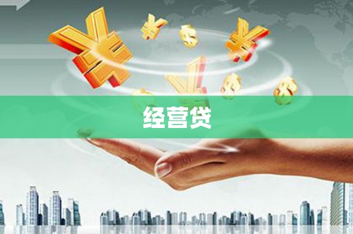 望谟经营贷