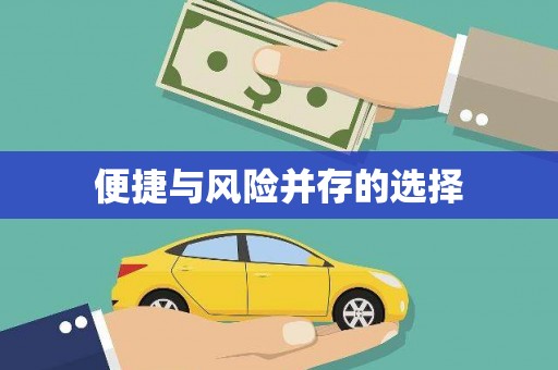 望谟便捷与风险并存的选择
