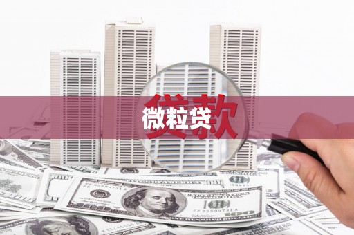 望谟微粒贷
