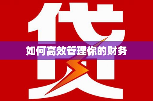 望谟如何高效管理你的财务