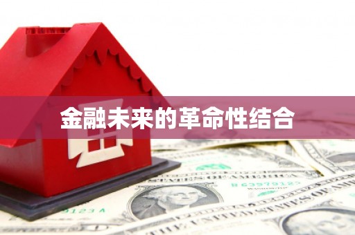 望谟金融未来的革命性结合