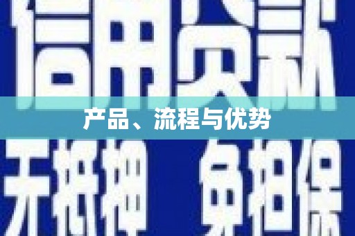 望谟产品、流程与优势
