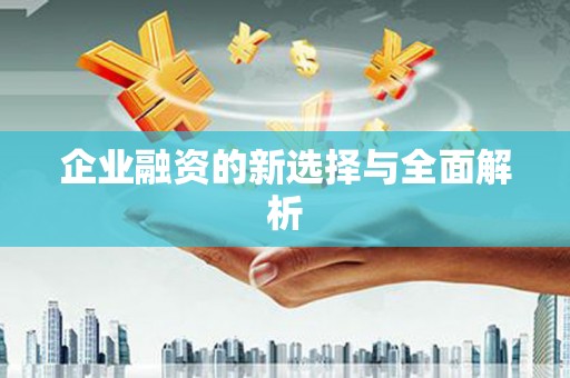 望谟企业融资的新选择与全面解析