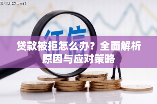 望谟贷款被拒怎么办？全面解析原因与应对策略