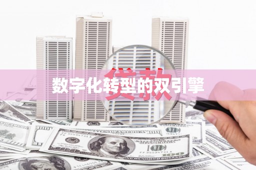 望谟数字化转型的双引擎