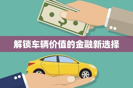 望谟解锁车辆价值的金融新选择