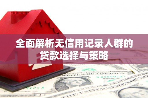 望谟全面解析无信用记录人群的贷款选择与策略