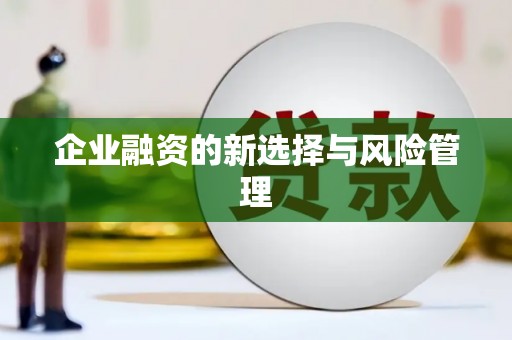 望谟企业融资的新选择与风险管理