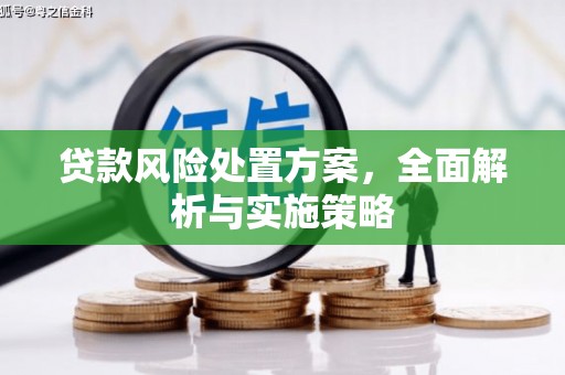 望谟贷款风险处置方案，全面解析与实施策略