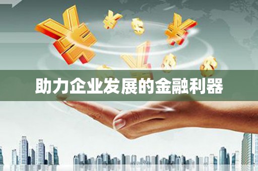 望谟助力企业发展的金融利器