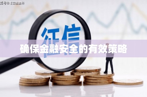 望谟确保金融安全的有效策略