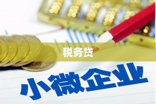 望谟税务贷