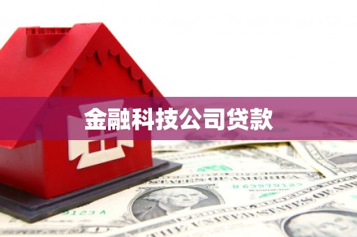 望谟金融科技公司贷款