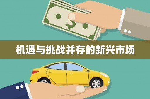 望谟机遇与挑战并存的新兴市场