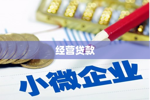 望谟经营贷款