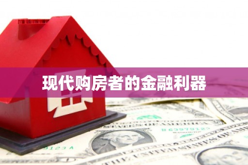 望谟现代购房者的金融利器