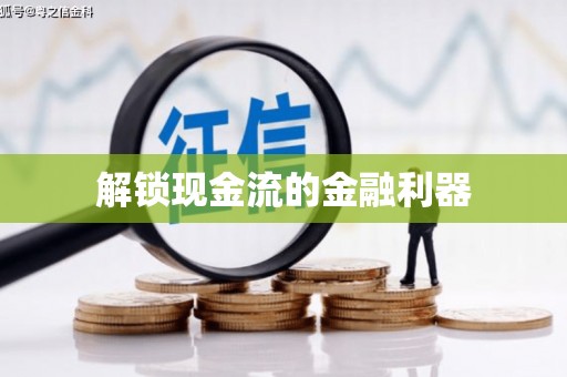 望谟解锁现金流的金融利器