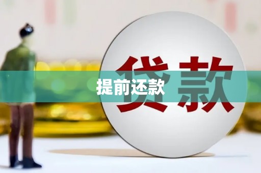 望谟提前还款