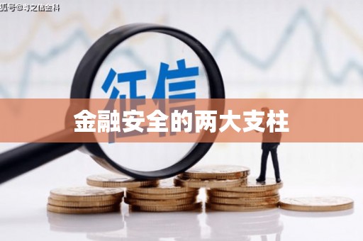 望谟金融安全的两大支柱