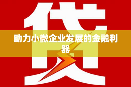 望谟助力小微企业发展的金融利器