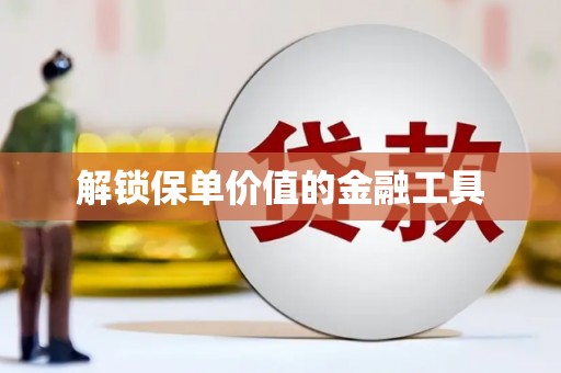望谟解锁保单价值的金融工具