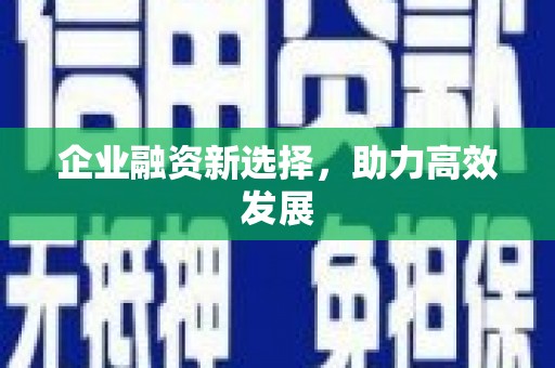 望谟企业融资新选择，助力高效发展