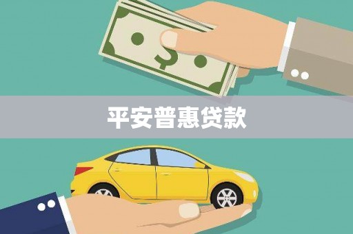 望谟平安普惠贷款