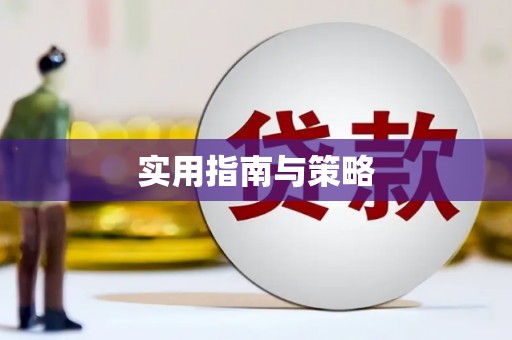 望谟实用指南与策略
