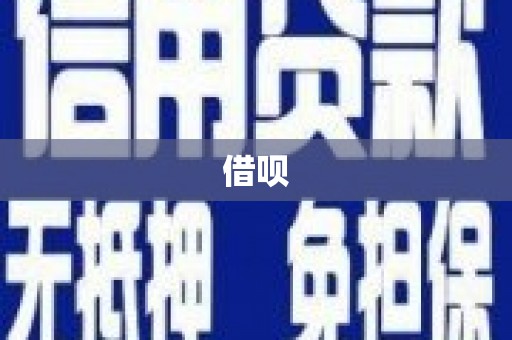 望谟借呗