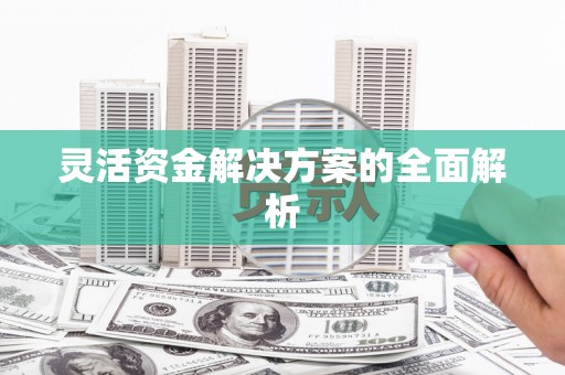 望谟灵活资金解决方案的全面解析