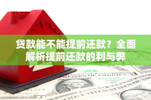 望谟贷款能不能提前还款？全面解析提前还款的利与弊