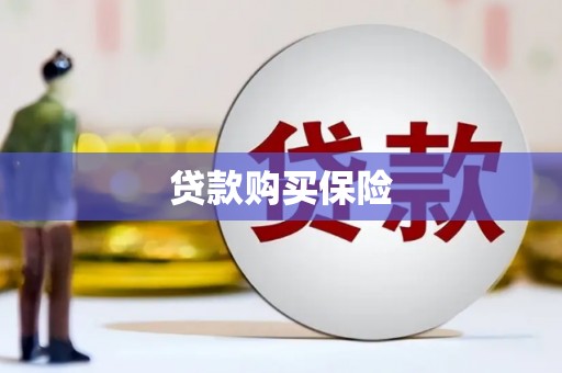 望谟贷款购买保险