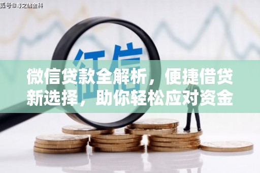 望谟微信贷款全解析，便捷借贷新选择，助你轻松应对资金需求