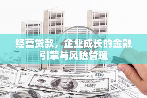 望谟经营贷款，企业成长的金融引擎与风险管理