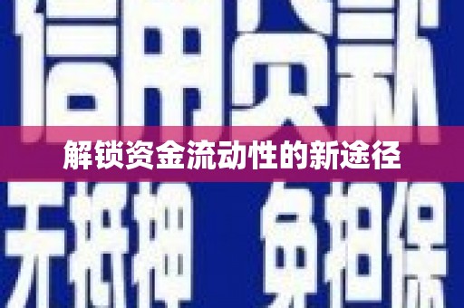 望谟解锁资金流动性的新途径