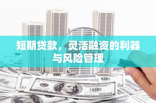 望谟短期贷款，灵活融资的利器与风险管理