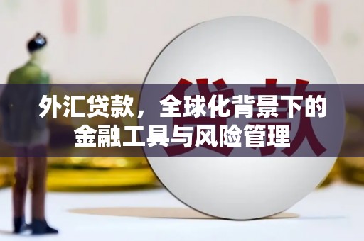 望谟外汇贷款，全球化背景下的金融工具与风险管理