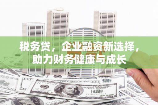 望谟税务贷，企业融资新选择，助力财务健康与成长