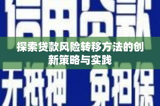 望谟探索贷款风险转移方法的创新策略与实践