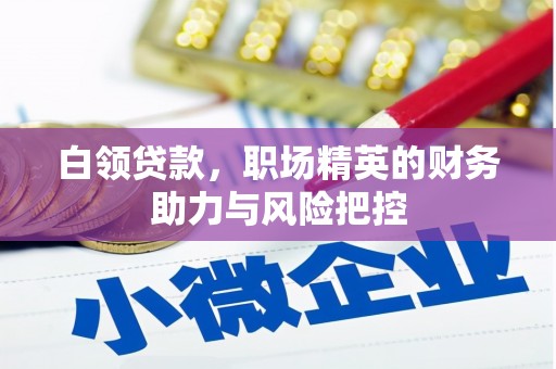 望谟白领贷款，职场精英的财务助力与风险把控