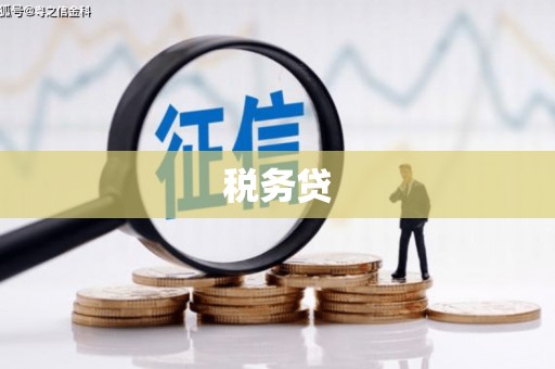 望谟税务贷