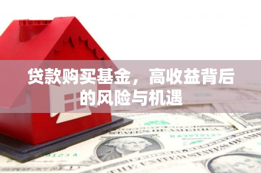 望谟贷款购买基金，高收益背后的风险与机遇